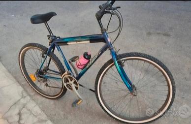 Bicicletta Mountain Bike 