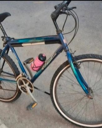 Bicicletta Mountain Bike 