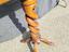 Immagine 4