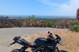 Triumph street triple 675 R 2008