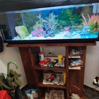  acquario 200 litri