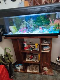  acquario 200 litri