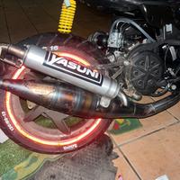 Yasuni Z piaggio