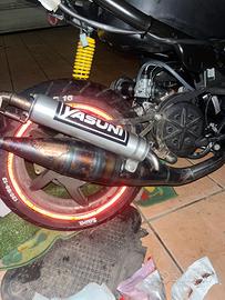 Yasuni Z piaggio