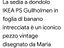 Immagine 5