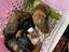 Immagine 1