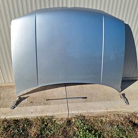 Cofano golf 4