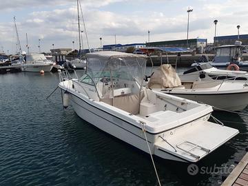 Barca karnic Bluewater 211