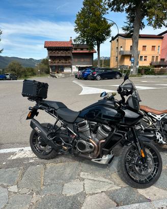 Pan america 1250 special