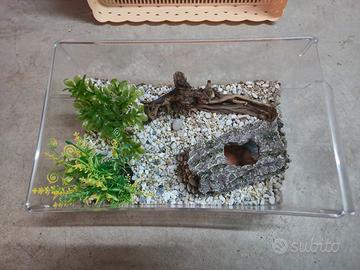 acquario per pesci 35x 20