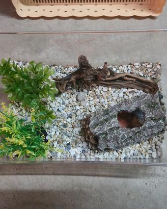 acquario per pesci 35x 20