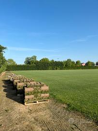 PRATO IN ROTOLO - NATURALE VERO