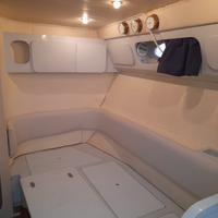 Fiart 35 (natante) targato