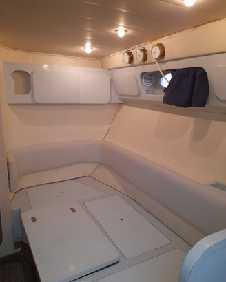 Fiart 35 (natante) targato