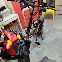 bicicletta elettrica 