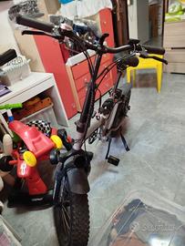 bicicletta elettrica 