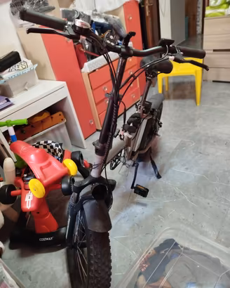 bicicletta elettrica 