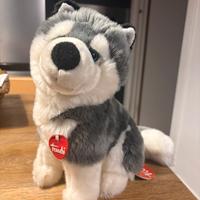 Husky Marcus Trudy