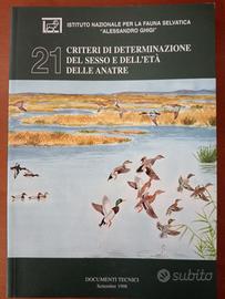 Uccelli ornitologia Anatre