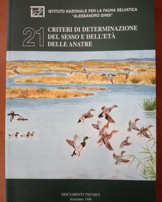 Uccelli ornitologia Anatre