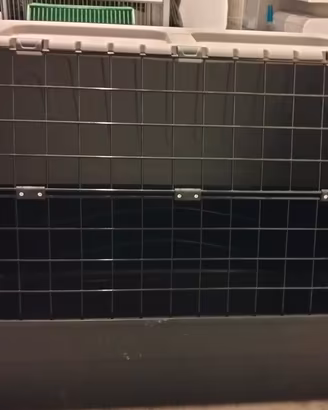 trasportino cane taglia media 