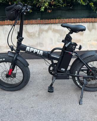 Bici Lombardo Appia