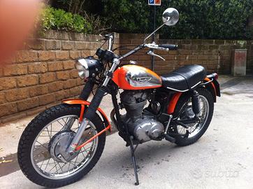 Ducati scrambler 1971