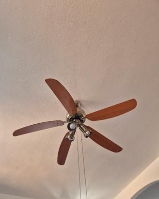 Pala Ventilatore da soffitto