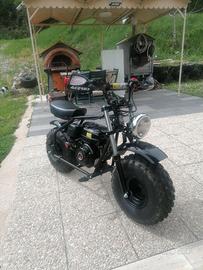 Minibike Moto