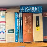 Dizionari di lingue straniere
