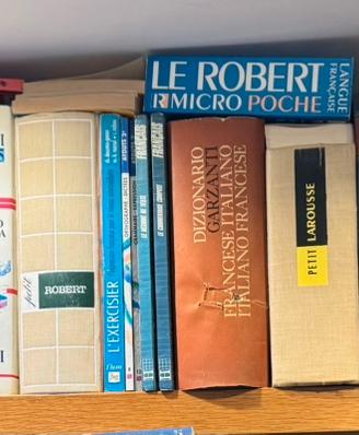 Dizionari di lingue straniere