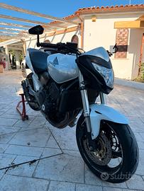Hornet 600