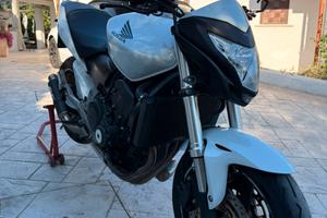 Hornet 600