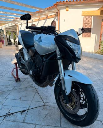 Hornet 600