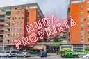 nuda-proprieta-di-ampio-bilocale-con-ascensore