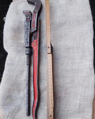 giratubi pappagallo cagna