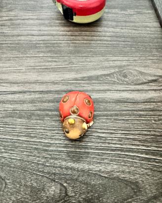 Coccinella Thun