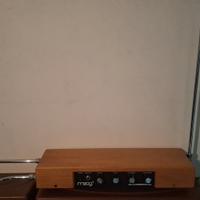 moog theremin