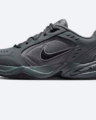 Nike Air Monarch Grigia