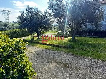 Casa Indipendente Misano Adriatico