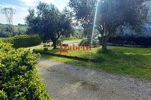 Casa Indipendente Misano Adriatico