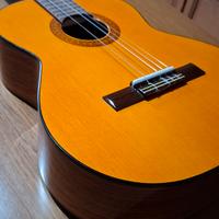 Chitarra Classica CLARISSA P-42 L.
