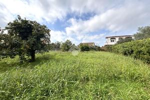 TER. RESIDENZIALE A NETTUNO
