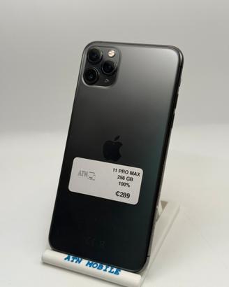 Iphone 11 PRO MAX 256 GB 🔋100%
