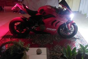 Panigalev4
