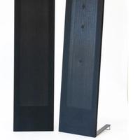 Magneplanar lrs plus