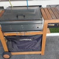 Barbecue a  gas con pietra lavica