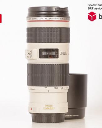 Canon EF 70-200 F4 L IS USM (Canon)