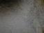 Immagine 23
