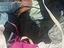 Immagine 4